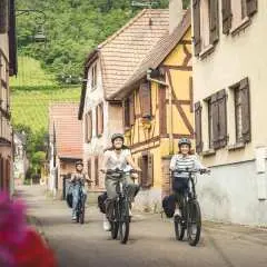 Alsace: Guided Bike Tour on the Alsatian Wine Road|France