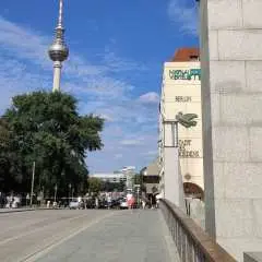 Berlin: Museum Island Guided Walking Tour|Germany