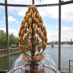 Skip-the-Line Chocolate Museum & Old Town Guided Tour|Germany