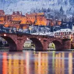 Heidelberg: Sightseeing Boat Tour with Mulled Wine|Germany