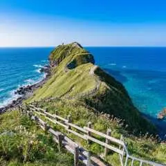 Otaru, Shakotan Cape Kamui, Shimabushi Coast, Yoichi Distillery Comfort Bus Day Tour (Chinese/English Guide)