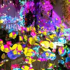 Fantastic Phuket Admission Ticket | Thailand