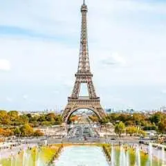 Guided visit of the Eiffel Tower by foot with summit option