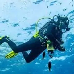 Tour lặn biển kèm một lần lặn từ cảng Bonaire dành cho thợ lặn có chứng chỉ.