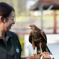 High Speed ​​Rail Kaohsiung Holiday | Wild Forest Animal School Tickets | Hotel Comfort Inn | Kaohsiung Zhongshan Museum 2-Day Trip