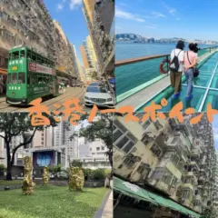 香港のお洒落なローカルスポットを3時間で満喫!日本語ガイドと巡る 北角(ノースポイント)街歩きツアー<OI!・春秧街・利強記北角鶏蛋仔・北角ウォーク・モンスターマンション> by パンダバス