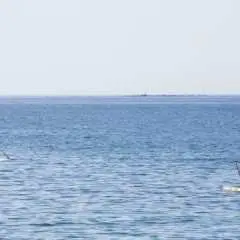 Gran Canaria Aquasports Stand-up Paddle Ticket