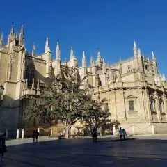 Sevilla Alcázar and cathedral guided tour with priority access tickets