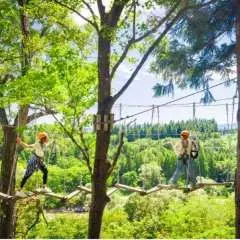 ◆新潟県/妙高市◆【ツリーエリアパス】対象のアクティビティ1日遊び放題パス!!