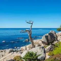 Scenic 17-Mile self-guided driving tour in Monterey