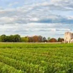 Bordeaux wine tour with chateau visit and tasting