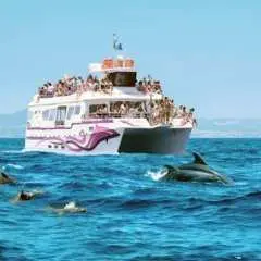 Costasol Cruceros dolphin-watching boat trip