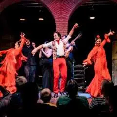 'Flamenco Dreams Show' at Seville Flamenco Dance Museum