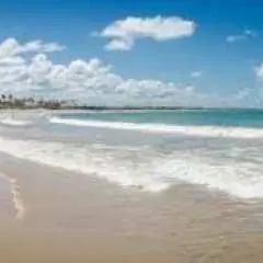 Porto De Galinhas Group Tour in Spanish and Portuguese
