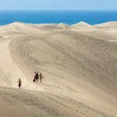 Personalised Private Tour of Gran Canaria in Minivan