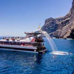 Three-hour Royal Delfín Whale & Dolphin Watching Cruise