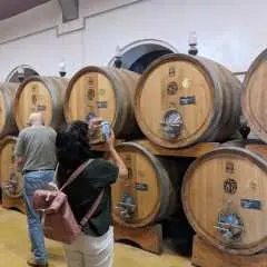 Valpolicella experience, wine and lunch guided tour from Lake Garda
