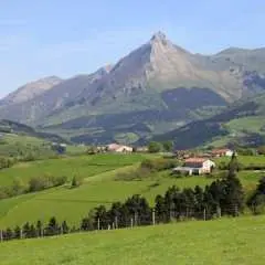 Idiazabal Basque cheese tour from San Sebastian