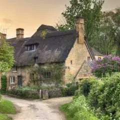 Full-day tour of the Cotswolds with Traditional Lunch Option