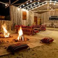 Al Marmoom Oasis Experience including Bedouin Dinner