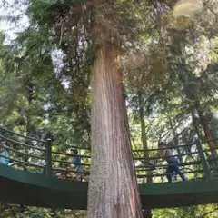 Vancouver Grand cycling tour