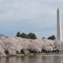 Washington Monument skip-the-line tickets and guidebook