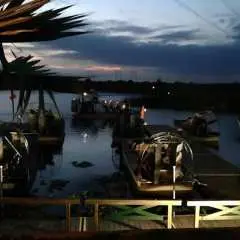 Gator Night 1-Hour Nighttime Airboat Tour at Sawgrass Recreation Park