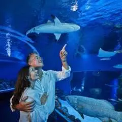 凱恩斯水族館黃昏導覽遊,含三道菜晚餐