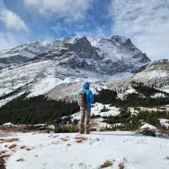 Banff Canmore: Wildlife Focused Guided Snowshoeing Adventure|Canada