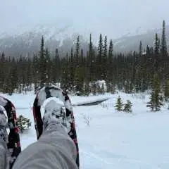 Canmore/Banff Snowshoeing Adventure Including Transportation|Canada