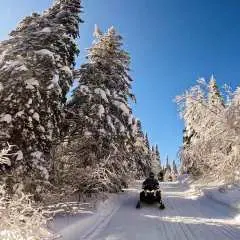 Snowmobiling Upper Laurentians 2hrs near Mont-Tremblant|Canada