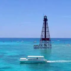 Marathon: Snorkeling Adventure by Boat at Sombrero Reef|United States