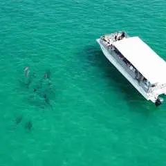 Tour tham quan thiên nhiên và sinh vật biển đảo Shell Island | Hoa Kỳ