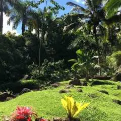 Princeville: Guided Botanical Gardens and Chocolate Tour|United States
