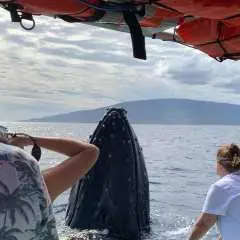 Ka'anapali: Whale Watching Boat Tour|United States