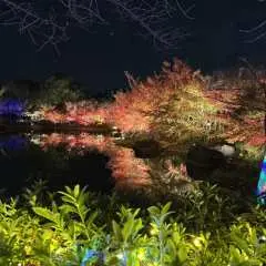 Private charter car tour: One-day private charter car service to Nagashima Mitsui Outlet & Nahana-sato | Departing from Nagoya