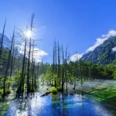 Nagoya Departure | Classic Hiking Route in Kamikochi - One-Day Chartered Tour