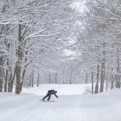 Niigata Uonuma Okutadami Maruyama Ski Resort Day Trip Shinkansen Tour: Shinkansen reserved seat + lift ticket + lunch & drink voucher