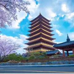 釜山から慶州への日帰り旅行 | プライベート・カスタマイズツアー | 仏国寺、陽東村、瞻星台などの定番観光スポット | 中国語ガイド