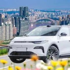 重慶包車遊| 重慶市區/武隆天坑地縫仙女山/大足石刻| 車型可選+專車專用+飯店接送