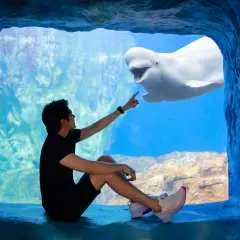 珠海長隆旅行写真撮影+専用車送迎パッケージ