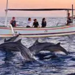 BALI : Dolphin Watching, Ulun Danu Beratan Floating Temple, Handara Iconic Gate, Wanagiri Hidden hills, and twin lake view point - Full Day Tour ( all inclusive)