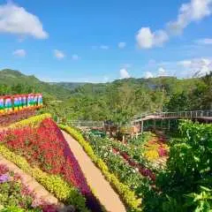 宿雾大都会区弹性私人自助包车旅游(含司机,不含燃油费)
