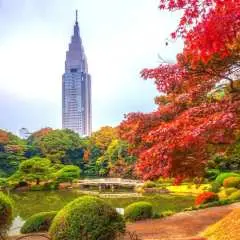 도쿄 및 주변 지역 맞춤형 전세 차량 차량 투어 | 도쿄 시내/후지산/하코네/가마쿠라/이즈/요코하마/닛코/가루이자와 및 기타 지역 | 영어 및 중국어 가능 운전기사