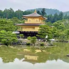 Nhật Bản | [Khởi hành từ Osaka] Tham quan Kyoto/Nara/Kobe bằng xe thuê riêng trọn gói 10 tiếng