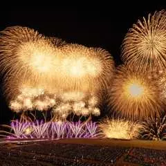 Niigata Gion Kashiwazaki Festival Sea Fireworks Display 2-Day Tour with Overnight Bus Return Trip (Includes Paid Box Seats) - Departing from and Arriving in Shinjuku