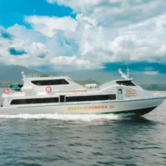 Fast Boat Transfer : Nusa Penida to Sanur with WAHANA VIRENDRA
