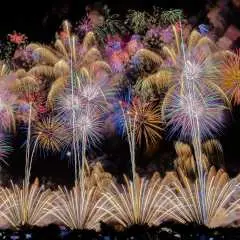 나가오카 축제 불꽃놀이, 토가쿠시 & 가루이자와 2일 관광 투어