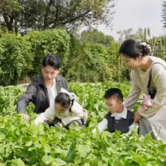 西溪濕地 臥水問茶體驗(私享搖櫓船 + 茶文化沉浸式體驗)