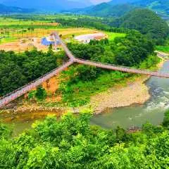 Pocheon Private Private charter car Day Trip | Thrilling Y-Bridge Skywalk Experience, Art Valley's Artistic Paradise, Herb Island's Nature Walk | Departing from Seoul